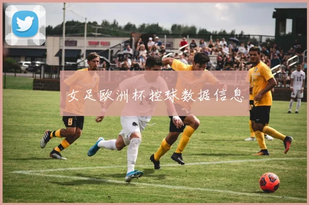 女足欧洲杯控球数据信息