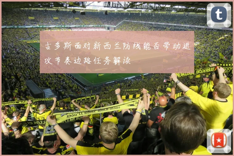 古多斯面对新西兰防线能否带动进攻节奏边路任务解读