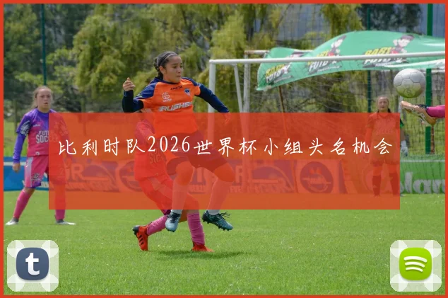 比利时队2026世界杯小组头名机会