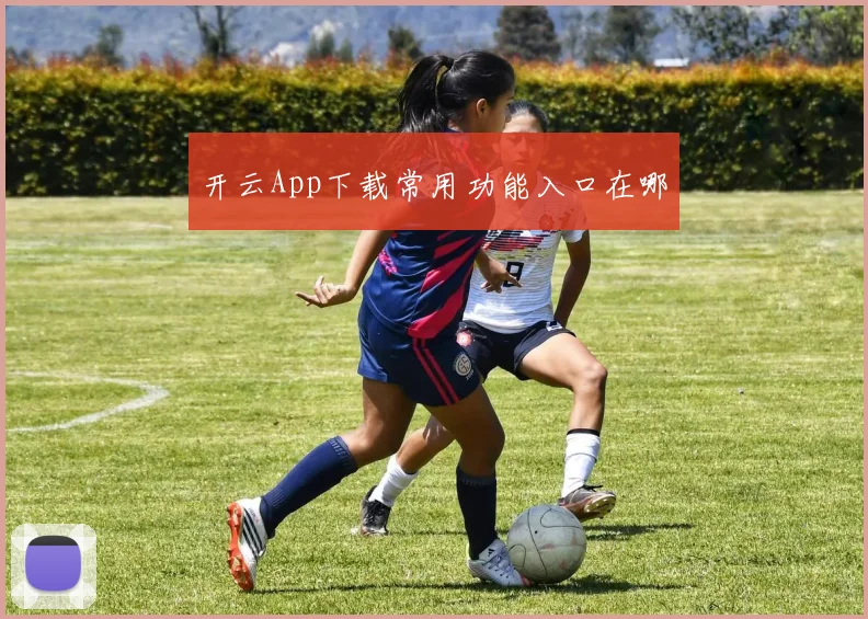 开云App下载常用功能入口在哪