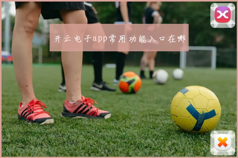 开云电子app常用功能入口在哪