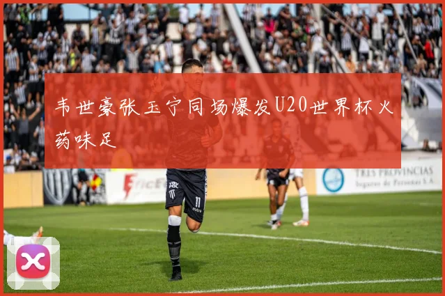 韦世豪张玉宁同场爆发U20世界杯火药味足