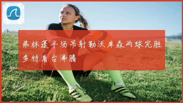 弗林蓬半场吊射勒沃库森两球完胜多特看台沸腾