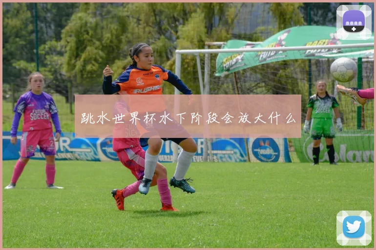 跳水世界杯水下阶段会放大什么